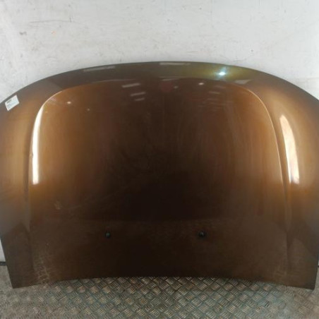 Capot DACIA DUSTER 1 Photo n°1