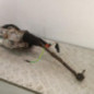 Cremaillere assistee PEUGEOT 207