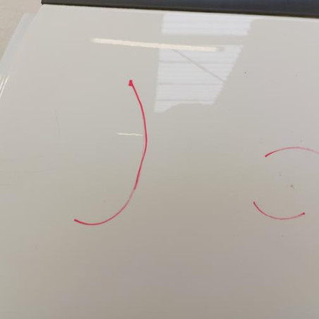 Porte arriere gauche DACIA SANDERO 3