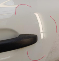 Porte arriere gauche DACIA SANDERO 3 Photo n°3