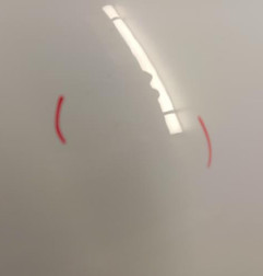 Porte avant droit DACIA SANDERO 3 Photo n°3