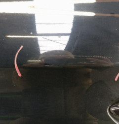 Porte arriere gauche HYUNDAI I 20 2 Photo n°3