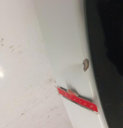 Malle/Hayon arriere KIA SPORTAGE 3 Photo n°4