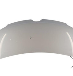 Capot RENAULT MASTER 3 Photo n°1