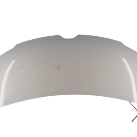 Capot RENAULT MASTER 3 Photo n°1