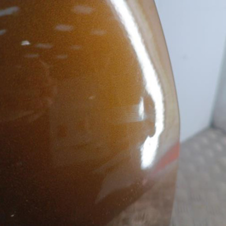 Porte arriere droit DACIA DUSTER 1