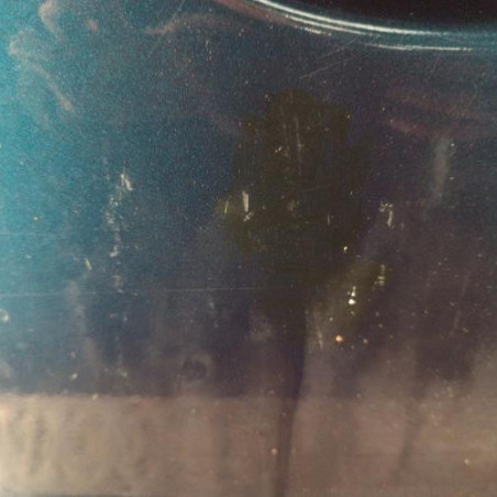 Porte avant droit RENAULT SCENIC 1