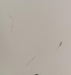 Capot CITROEN SAXO Photo n°3