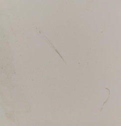 Capot CITROEN SAXO Photo n°4