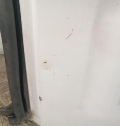 Porte de coffre droit RENAULT TRAFIC 2 Photo n°5