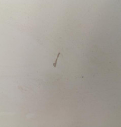 Porte laterale droit RENAULT TRAFIC 2 Photo n°3