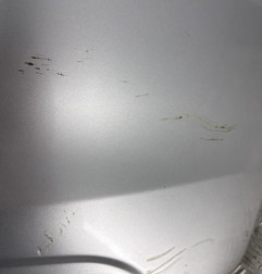 Pare choc arriere DACIA LOGAN MCV 1 Photo n°4