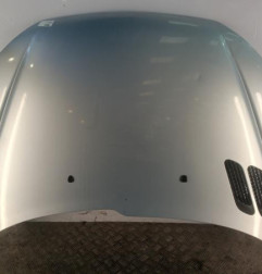 Capot PEUGEOT 206 Photo n°1