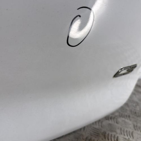 Malle/Hayon arriere CITROEN C3 3 SOCIETE