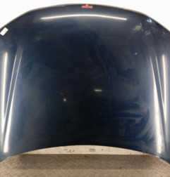 Capot PEUGEOT 406 Photo n°1