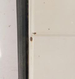 Porte de coffre droit PEUGEOT EXPERT 3 Photo n°4