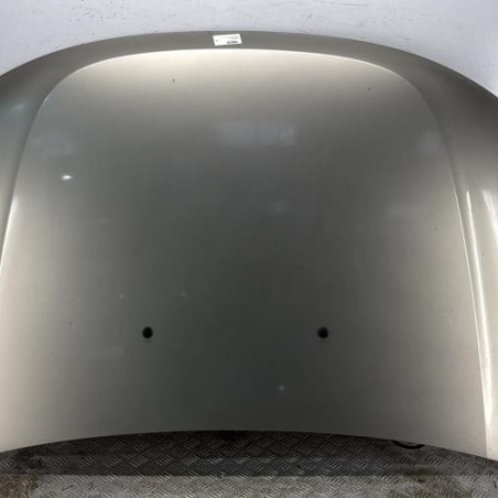 Capot DACIA DUSTER 1 Photo n°1