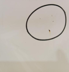 Capot PEUGEOT 206 Photo n°3