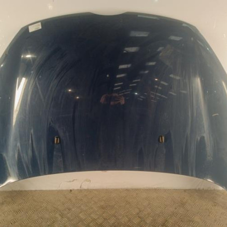 Capot FORD FIESTA 6 Photo n°1