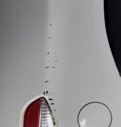 Pare choc arriere FIAT PUNTO EVO 3 Photo n°5