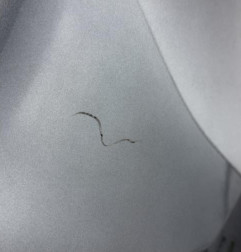 Pare choc arriere NISSAN QASHQAI 2 Photo n°5