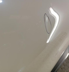 Porte avant gauche RENAULT CAPTUR 1 Photo n°3