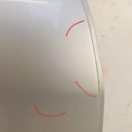 Porte arriere droit RENAULT SCENIC 3 Photo n°1