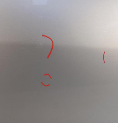 Porte arriere droit RENAULT SCENIC 3