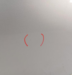 Porte arriere droit RENAULT SCENIC 3 Photo n°3