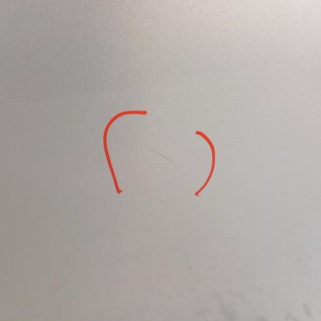 Porte avant droit RENAULT SCENIC 3