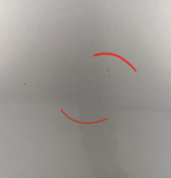 Porte avant droit RENAULT SCENIC 3 Photo n°4