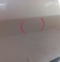 Porte arriere droit RENAULT MODUS Photo n°3