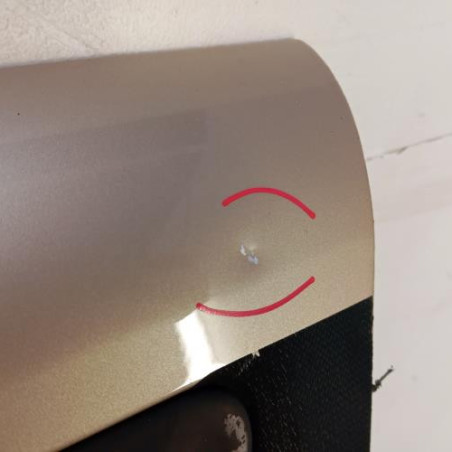 Porte avant gauche RENAULT MODUS