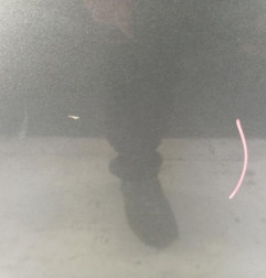 Porte arriere droit CITROEN C3 PICASSO Photo n°4