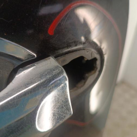 Porte avant gauche NISSAN JUKE 1