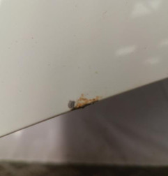 Capot MITSUBISHI ASX 1