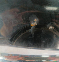 Porte avant droit MINI MINI 1 R50/R53 Photo n°5