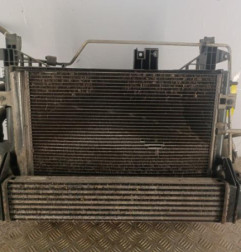 Radiateur eau DACIA DUSTER 1 Photo n°1