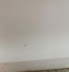 Porte avant gauche VOLKSWAGEN POLO 5 Photo n°3