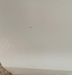 Porte avant gauche VOLKSWAGEN POLO 5 Photo n°4