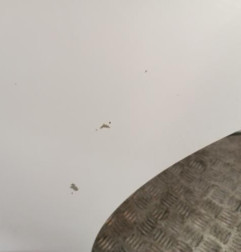 Porte arriere gauche MITSUBISHI ASX 1 Photo n°4