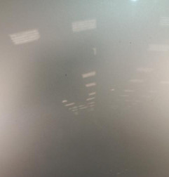 Capot SUZUKI SWIFT 3