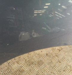 Aile avant droit FORD C-MAX 2 Photo n°3