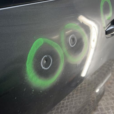 Porte avant gauche CITROEN C4 PICASSO 2