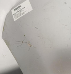 Pare choc arriere CITROEN C3 PICASSO Photo n°6