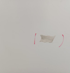 Capot RENAULT KANGOO 2 Photo n°4