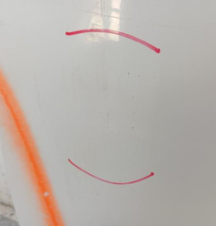 Porte avant gauche RENAULT KANGOO 2 Photo n°3