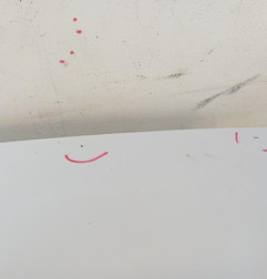 Porte de coffre droit RENAULT KANGOO 2