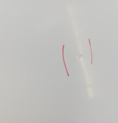 Porte laterale droit RENAULT KANGOO 2