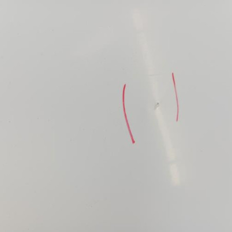 Porte laterale droit RENAULT KANGOO 2